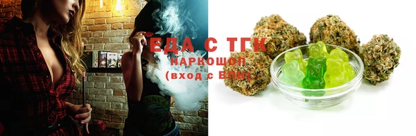 индика Дмитровск