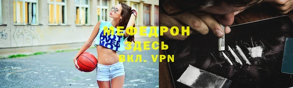 индика Дмитровск