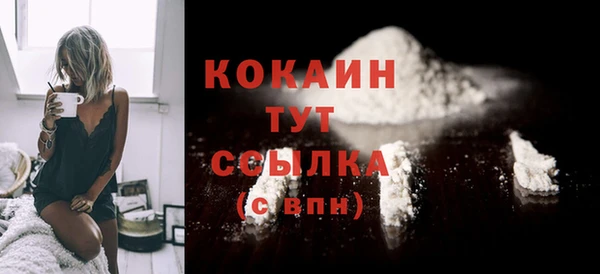 индика Дмитровск