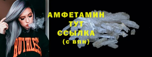 индика Дмитровск