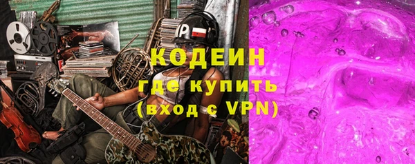 индика Дмитровск