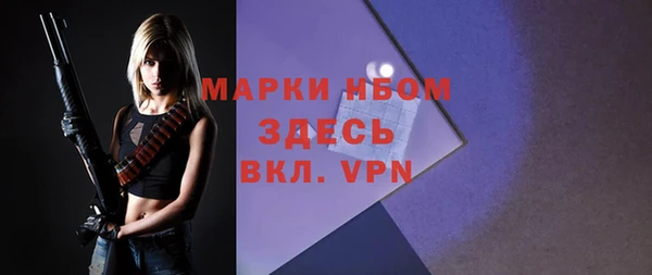 сатива Дмитриев