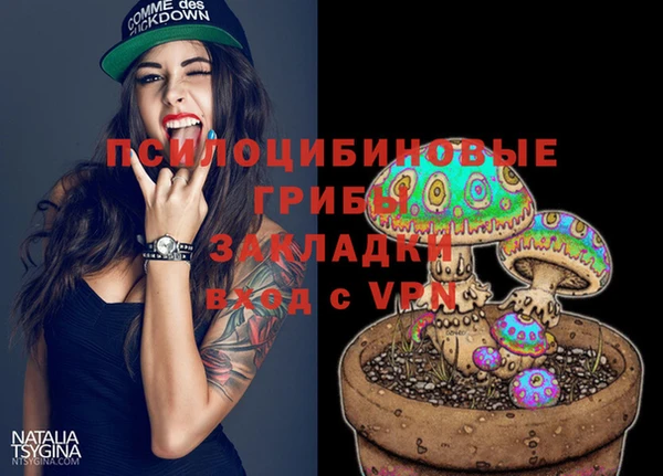 индика Дмитровск