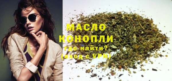 индика Дмитровск