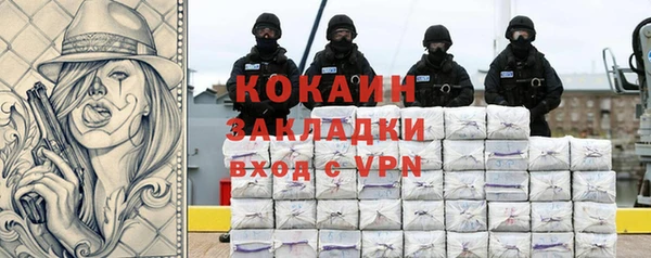 индика Дмитровск