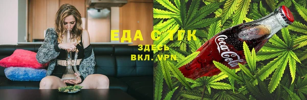 индика Дмитровск