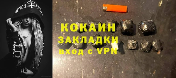 индика Дмитровск